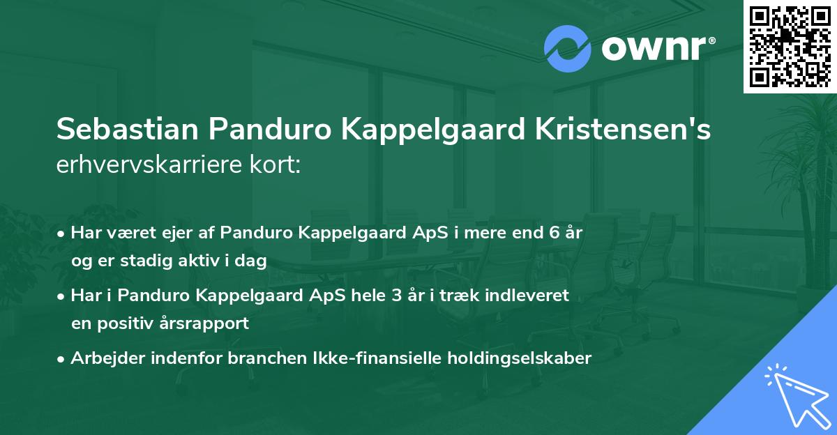 Sebastian Panduro Kappelgaard Kristensen's erhvervskarriere kort