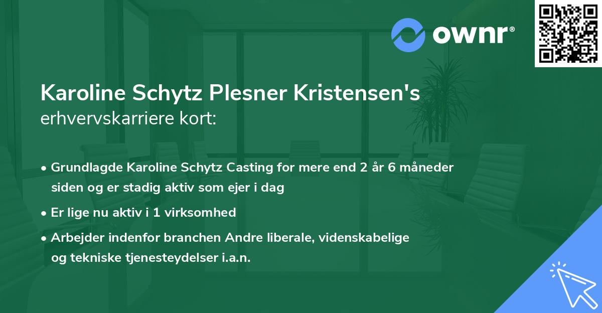 Karoline Schytz Plesner Kristensen's erhvervskarriere kort