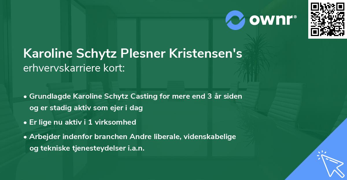 Karoline Schytz Plesner Kristensen's erhvervskarriere kort