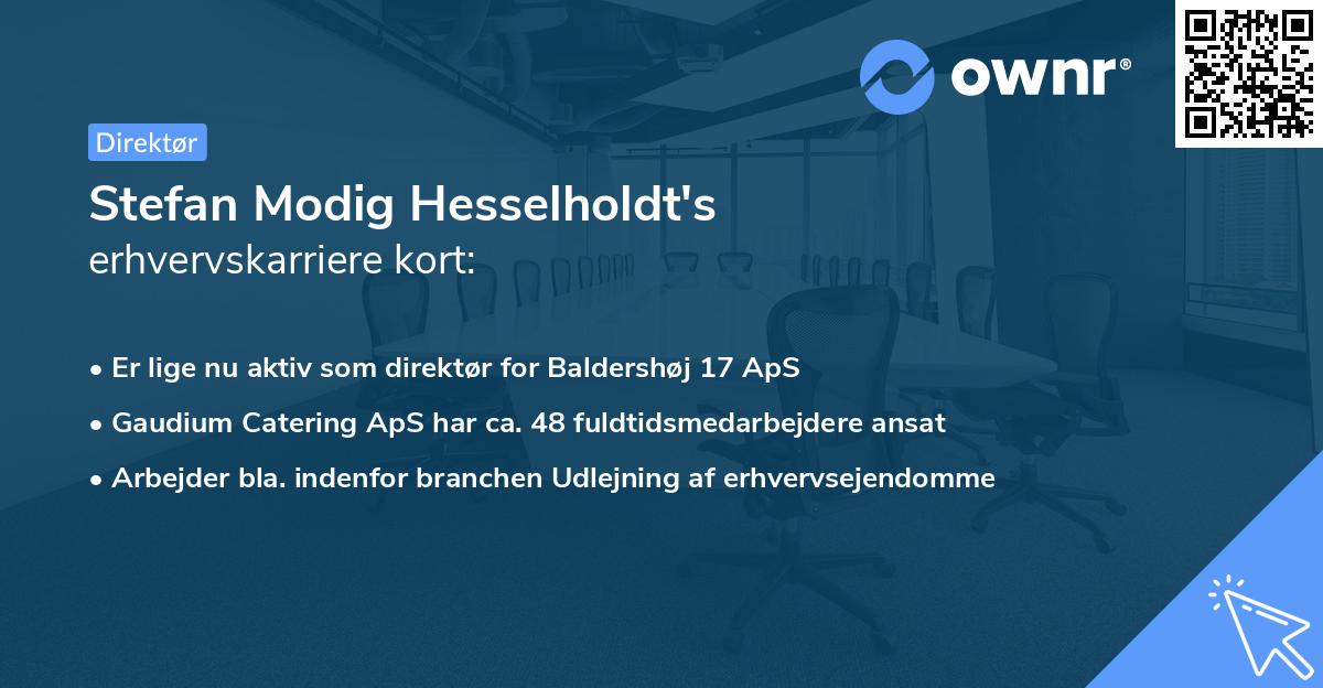 Stefan Modig Hesselholdt's erhvervskarriere kort
