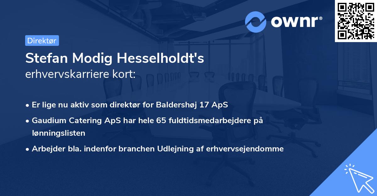 Stefan Modig Hesselholdt's erhvervskarriere kort