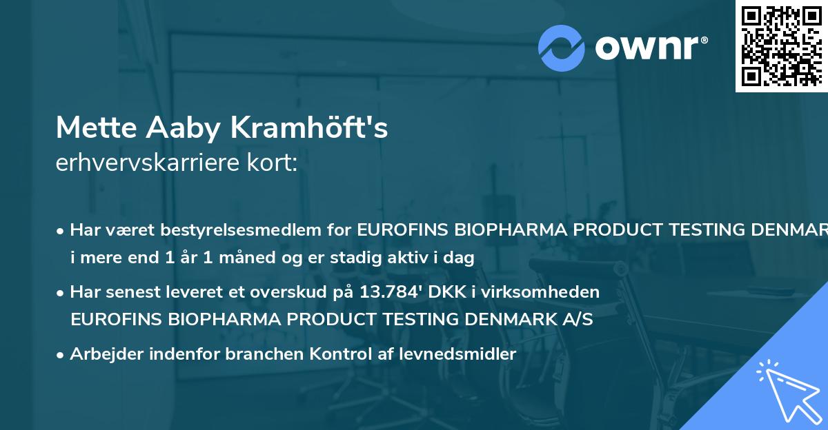 Mette Aaby Kramhöft's erhvervskarriere kort