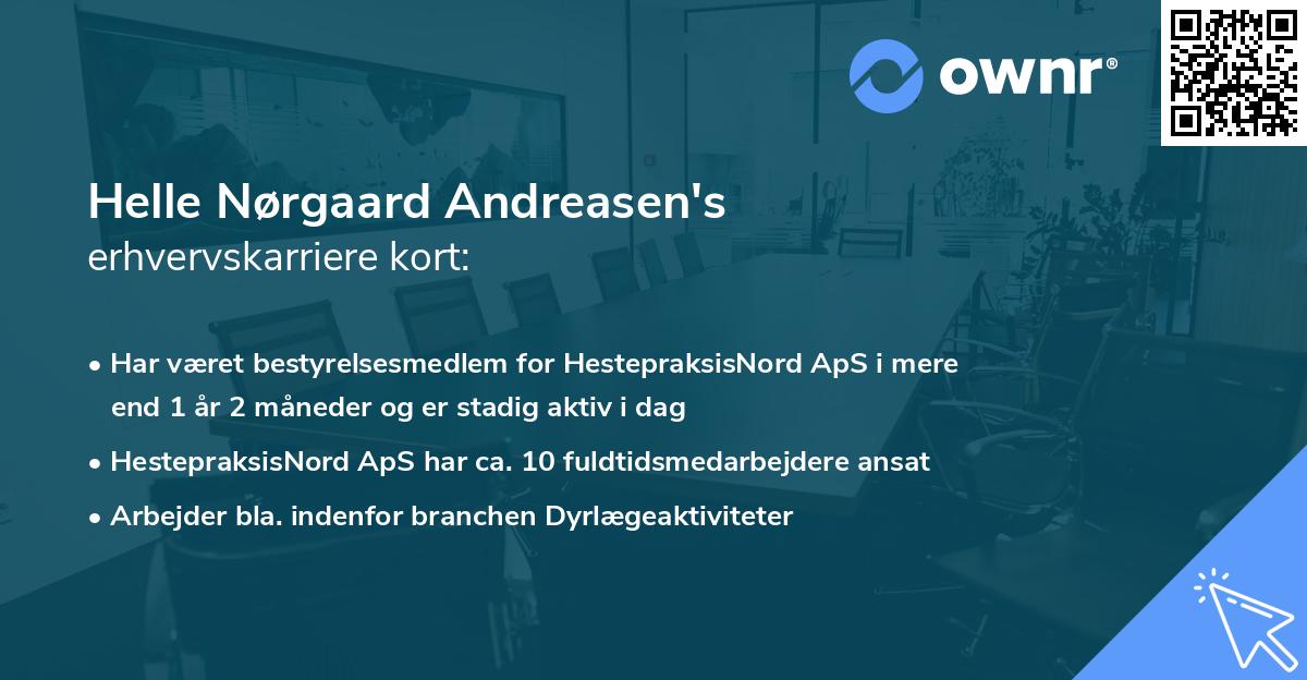 Helle Nørgaard Andreasen's erhvervskarriere kort