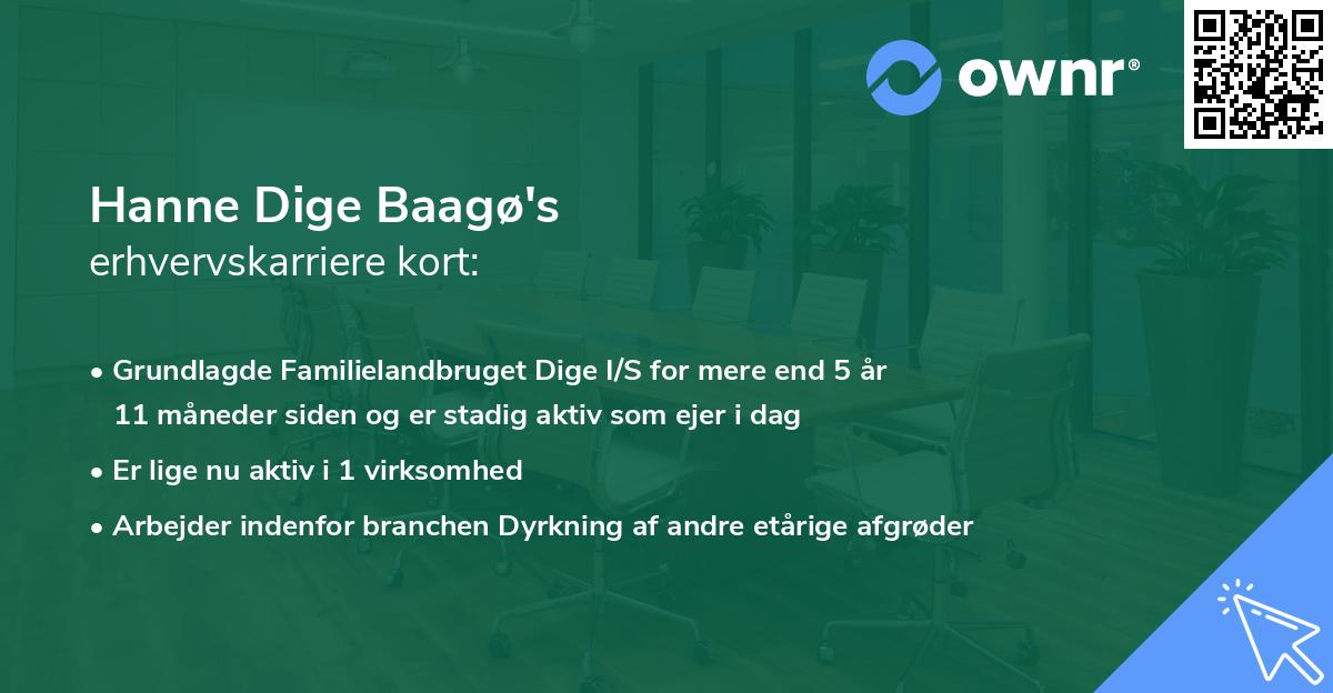 Hanne Dige Baagø's erhvervskarriere kort