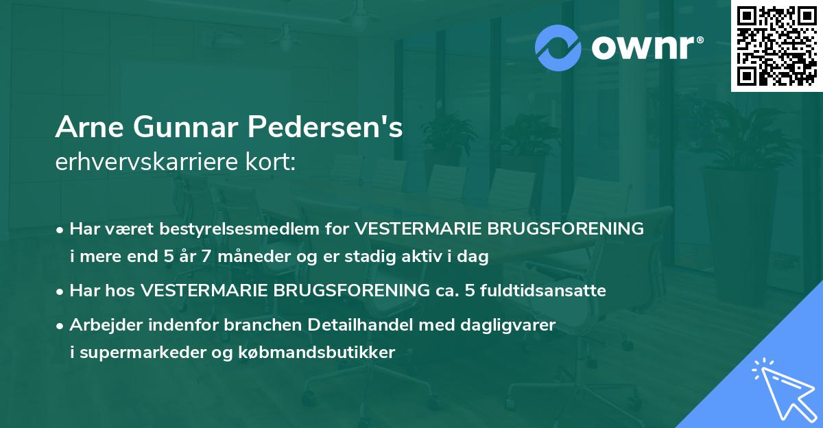 Arne Gunnar Pedersen's erhvervskarriere kort