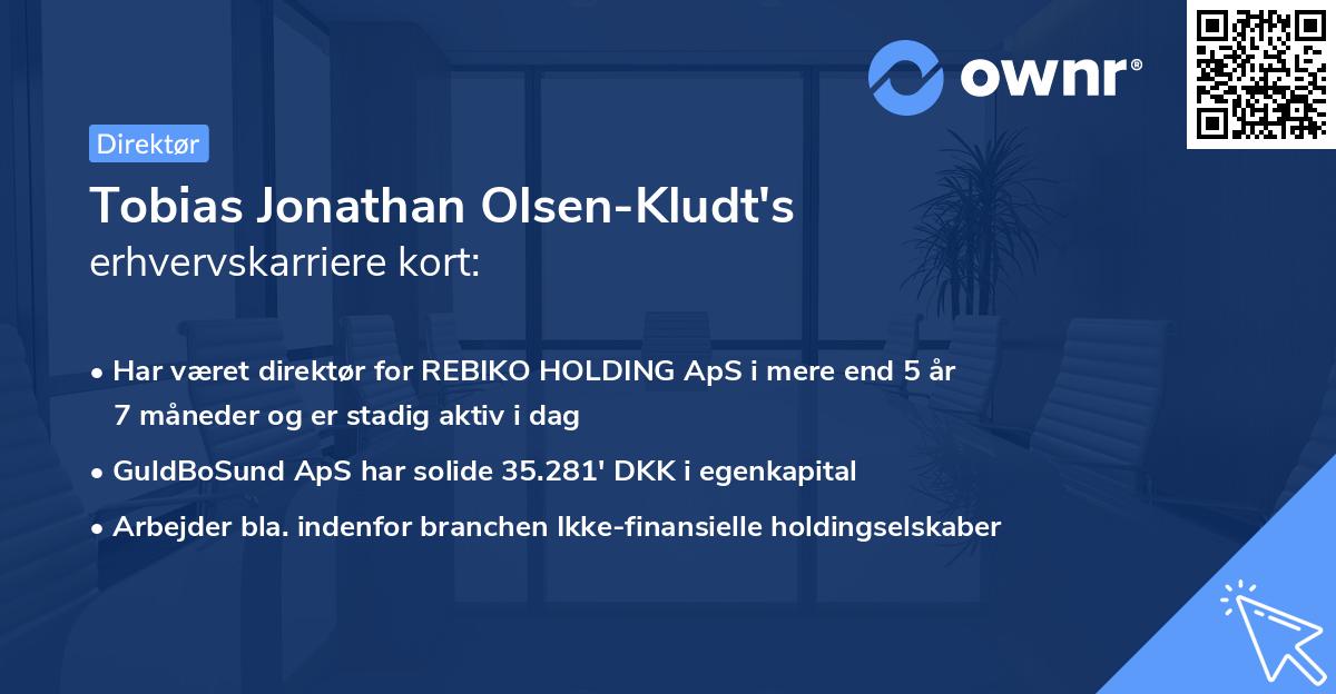Tobias Jonathan Olsen-Kludt's erhvervskarriere kort