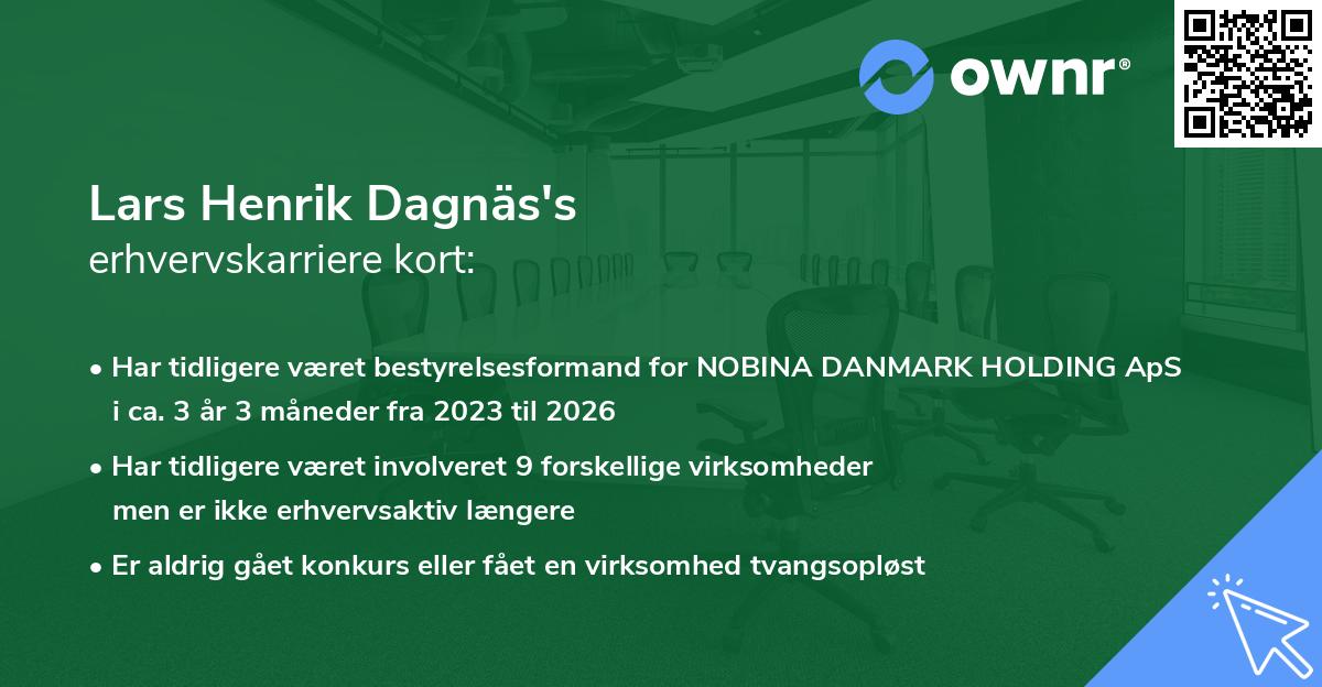 Lars Henrik Dagnäs's erhvervskarriere kort