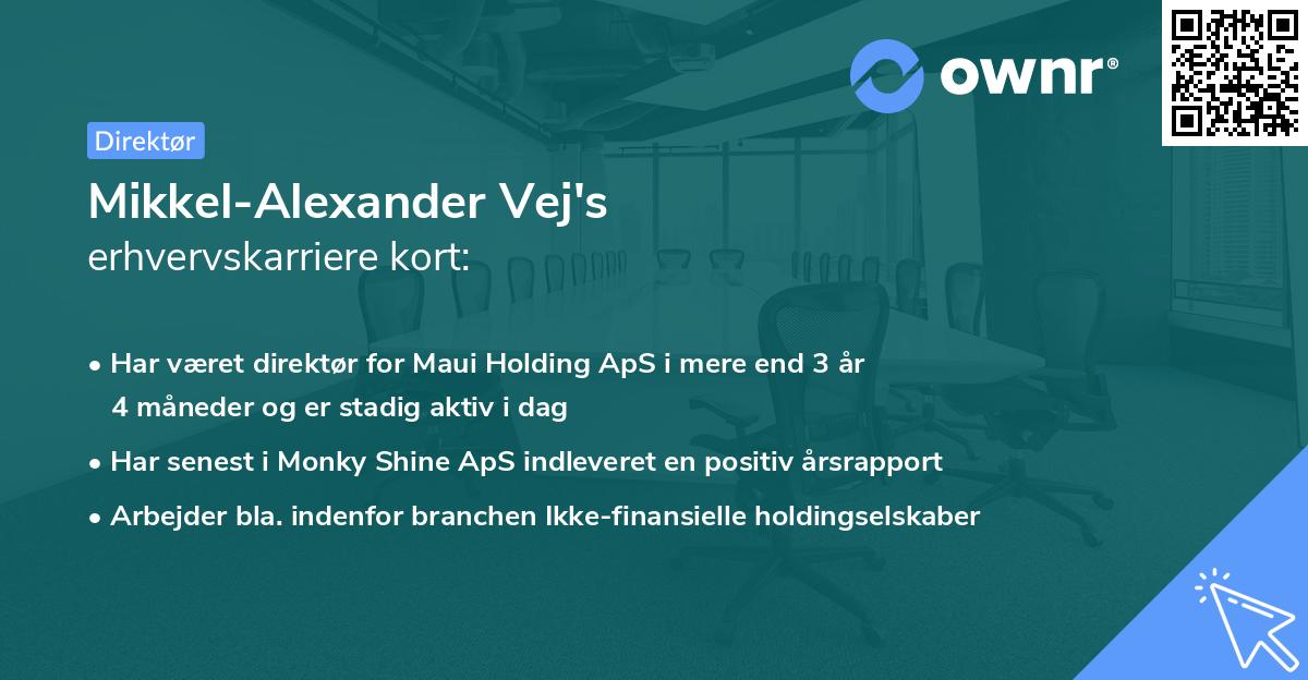 Mikkel-Alexander Vej's erhvervskarriere kort