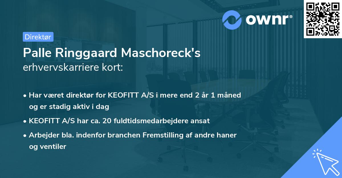 Palle Ringgaard Maschoreck's erhvervskarriere kort