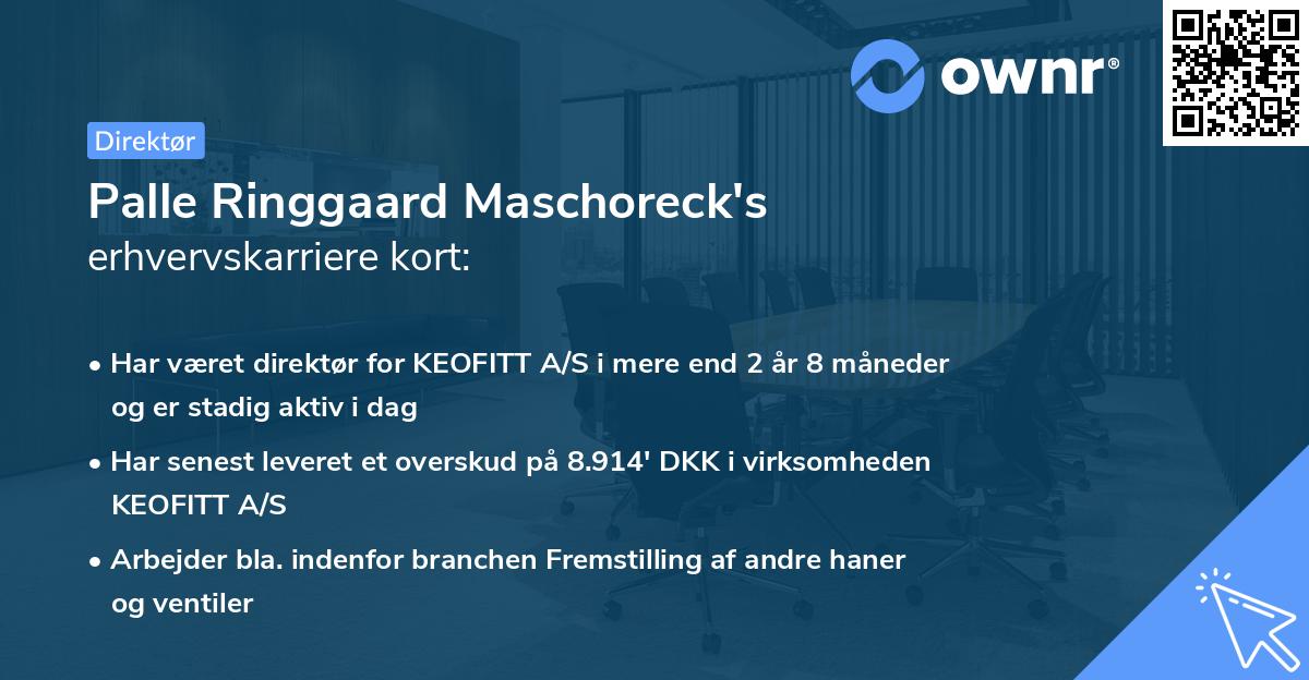 Palle Ringgaard Maschoreck's erhvervskarriere kort