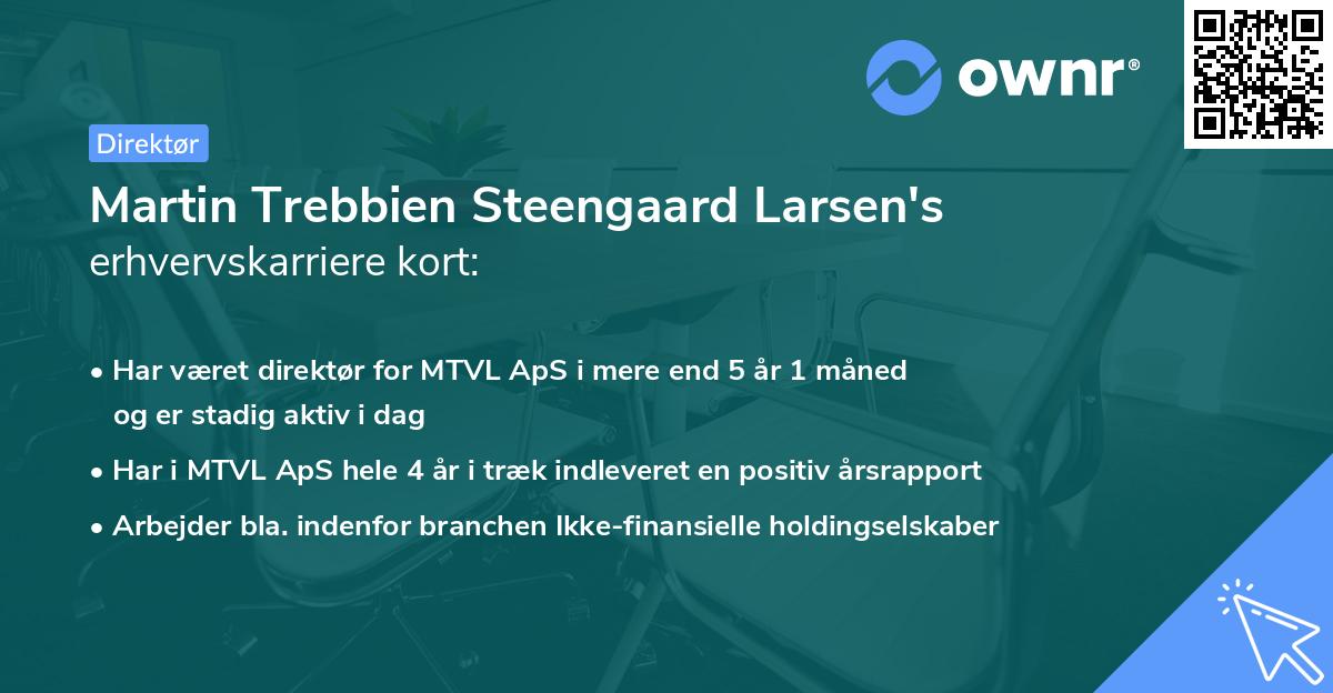 Martin Trebbien Steengaard Larsen's erhvervskarriere kort
