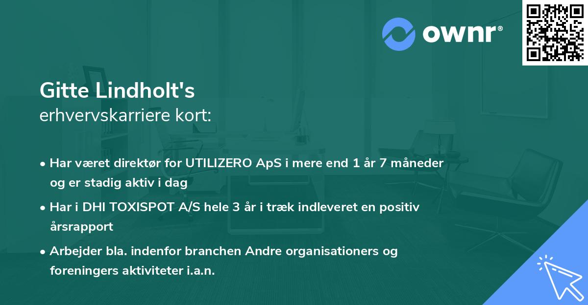 Gitte Lindholt's erhvervskarriere kort
