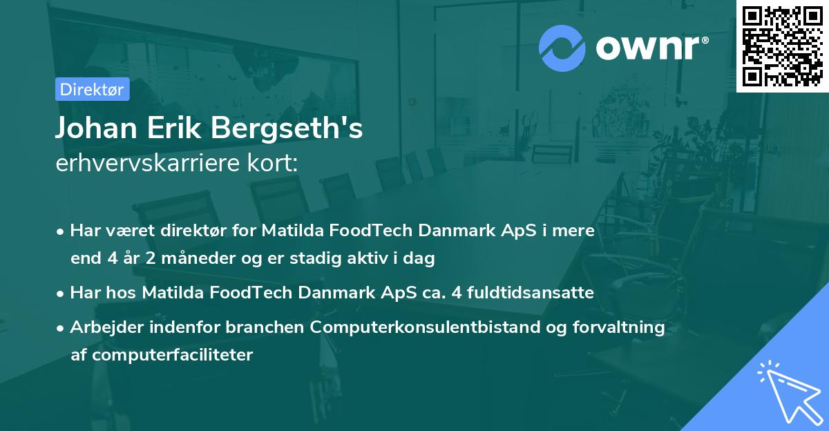 Johan Erik Bergseth's erhvervskarriere kort