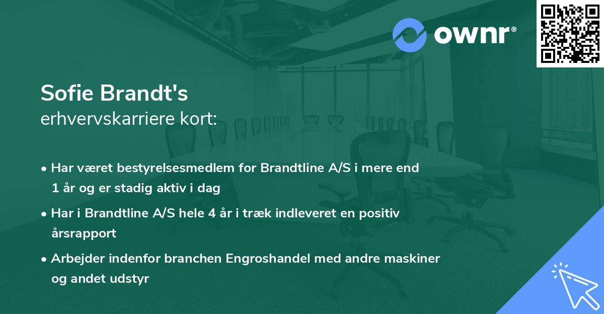 Sofie Brandt's erhvervskarriere kort