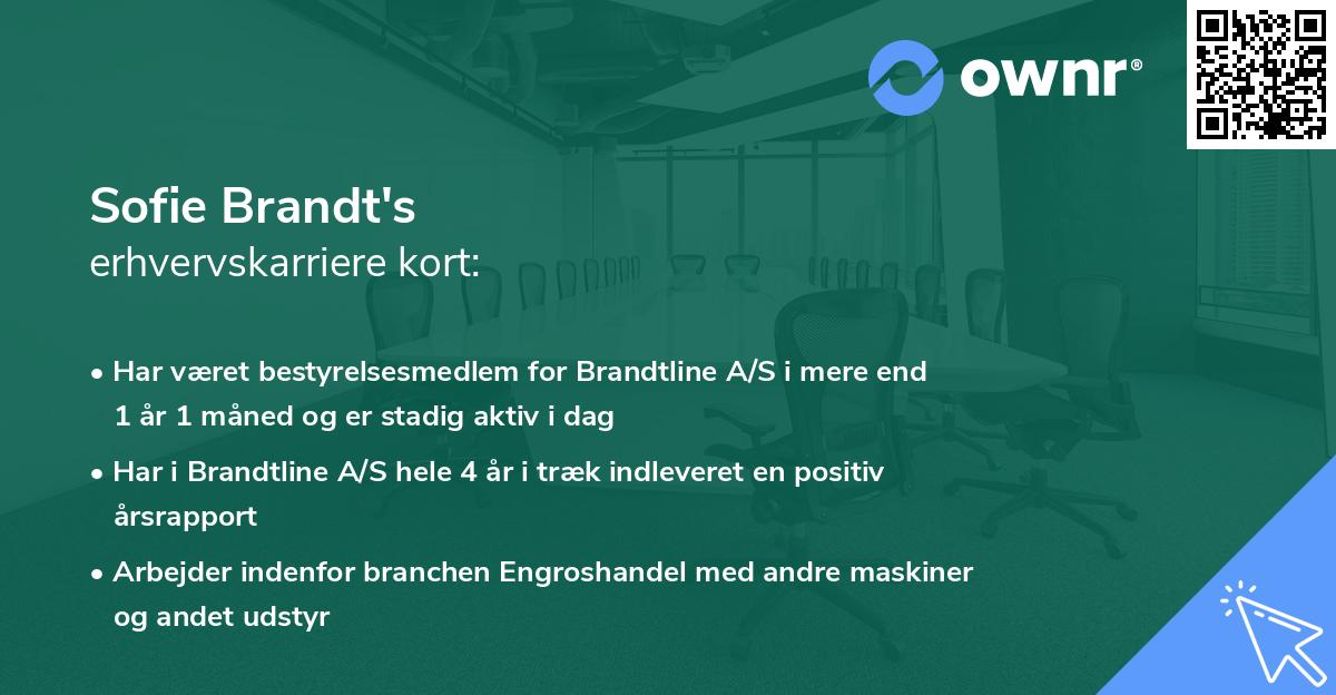 Sofie Brandt's erhvervskarriere kort