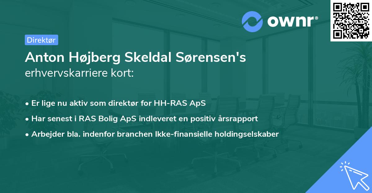 Anton Højberg Skeldal Sørensen's erhvervskarriere kort