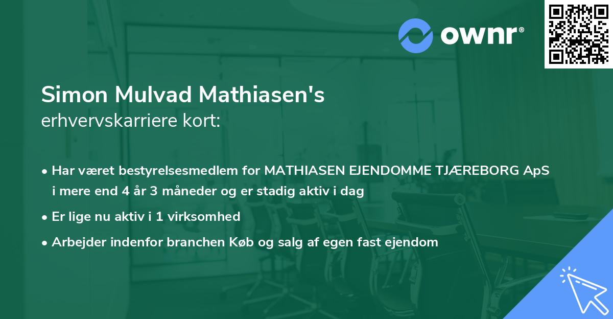 Simon Mulvad Mathiasen's erhvervskarriere kort