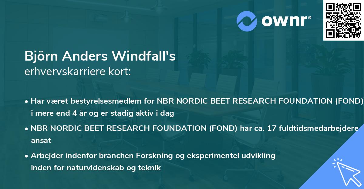 Björn Anders Windfall's erhvervskarriere kort