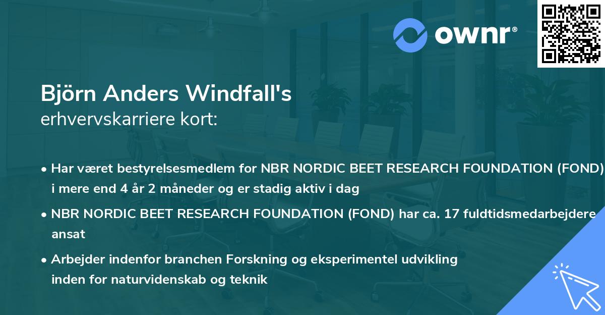 Björn Anders Windfall's erhvervskarriere kort