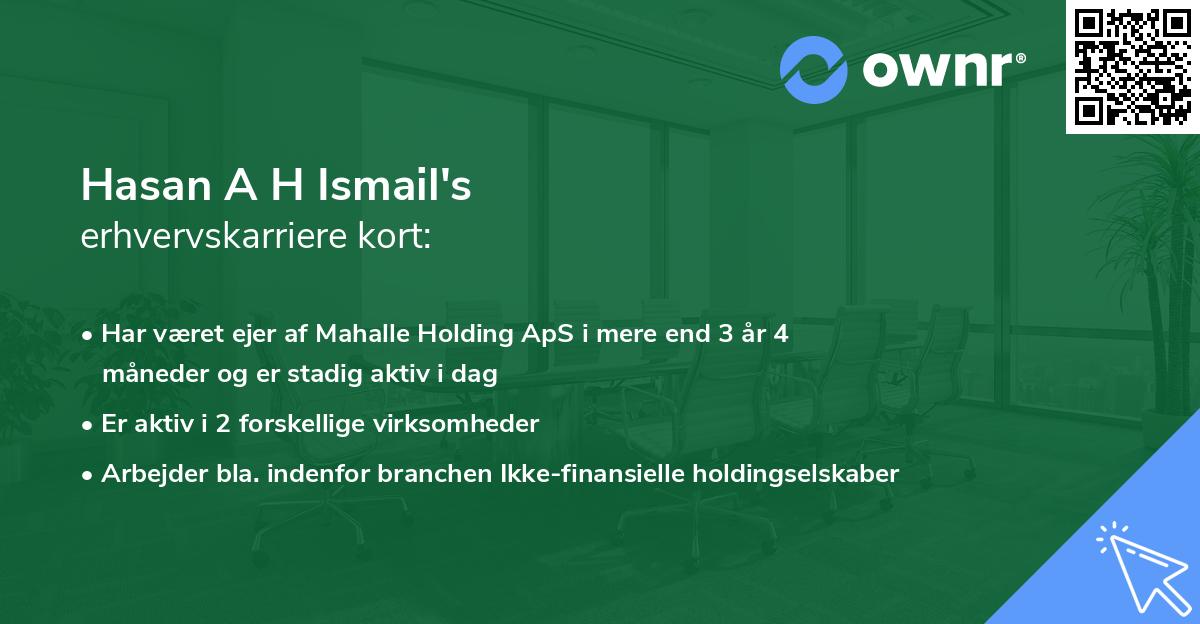 Hasan A H Ismail's erhvervskarriere kort