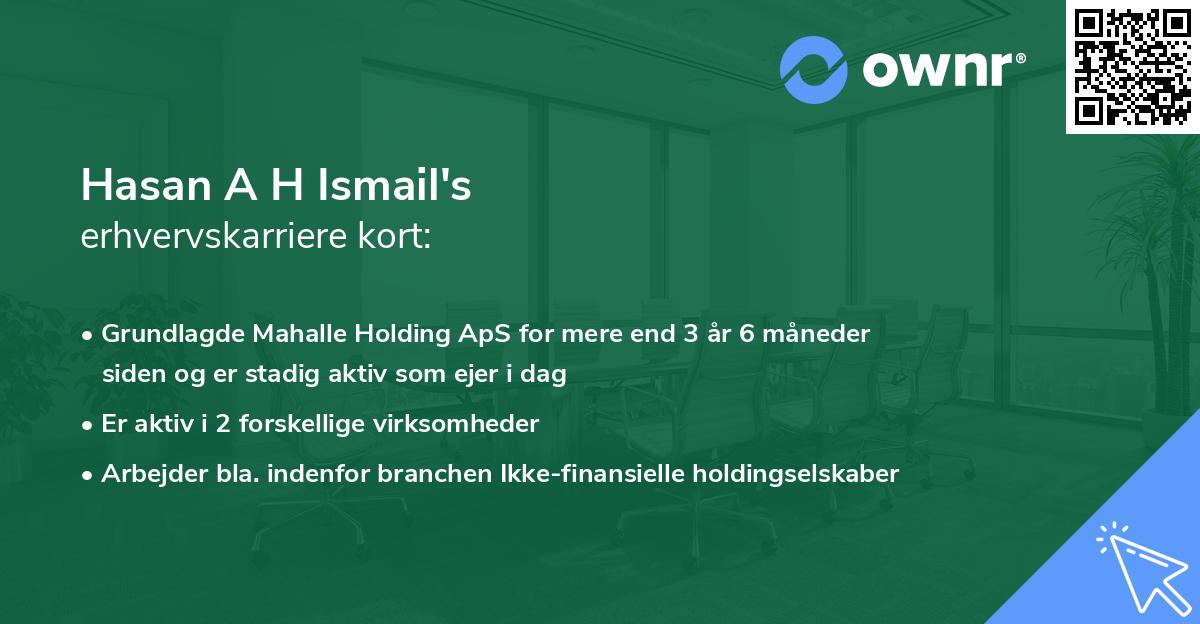 Hasan A H Ismail's erhvervskarriere kort