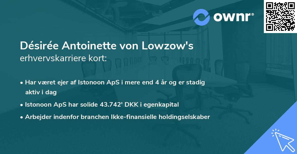 Désirée Antoinette von Lowzow's erhvervskarriere kort