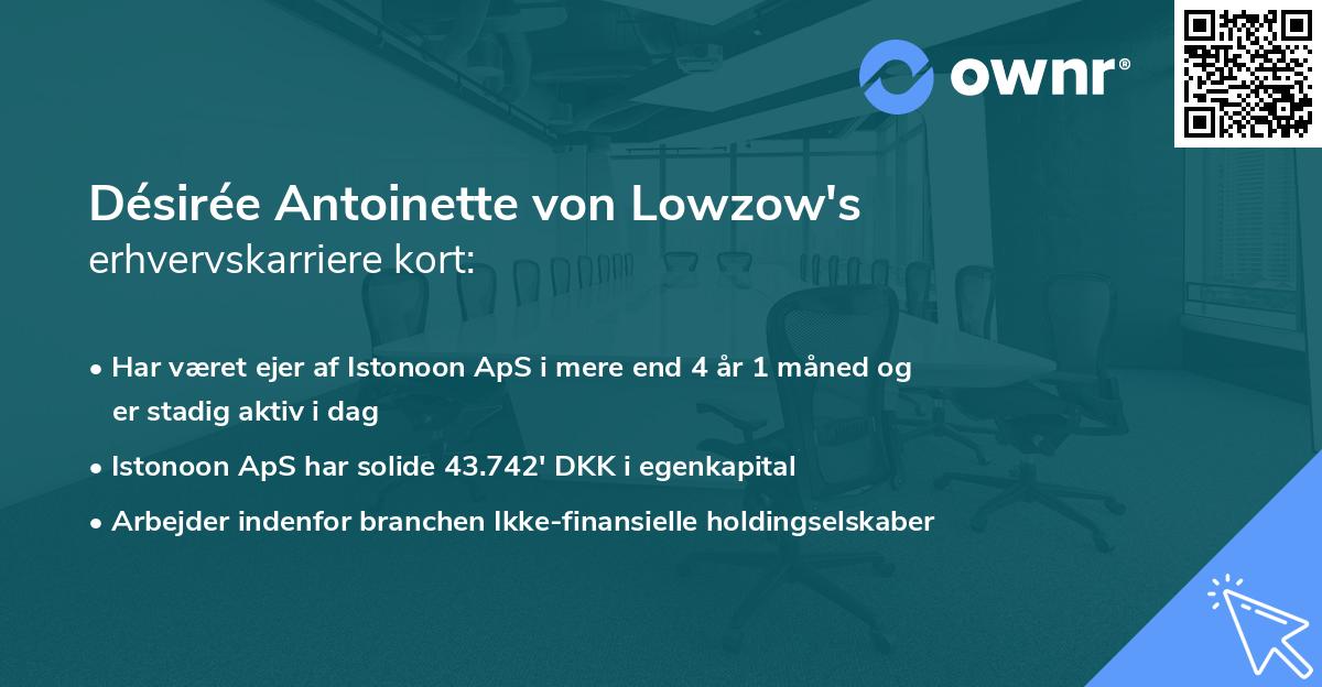 Désirée Antoinette von Lowzow's erhvervskarriere kort