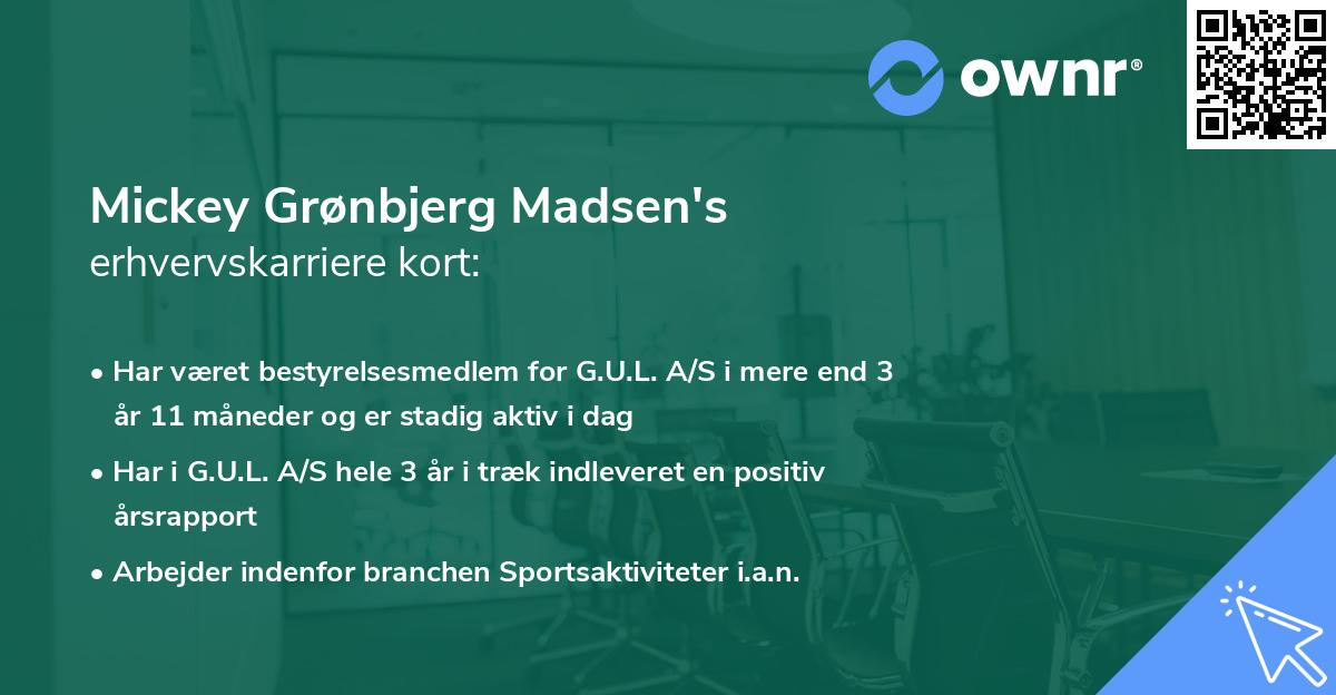 Mickey Grønbjerg Madsen's erhvervskarriere kort