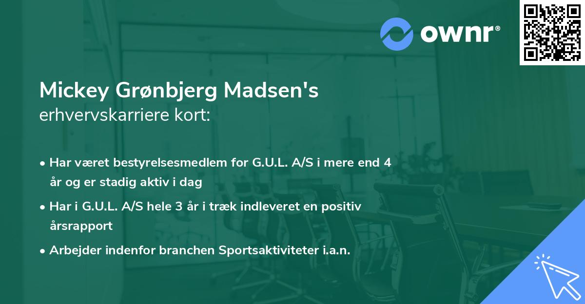 Mickey Grønbjerg Madsen's erhvervskarriere kort