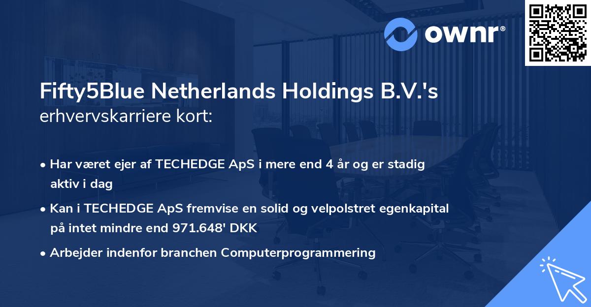 Fifty5Blue Netherlands Holdings B.V.'s erhvervskarriere kort