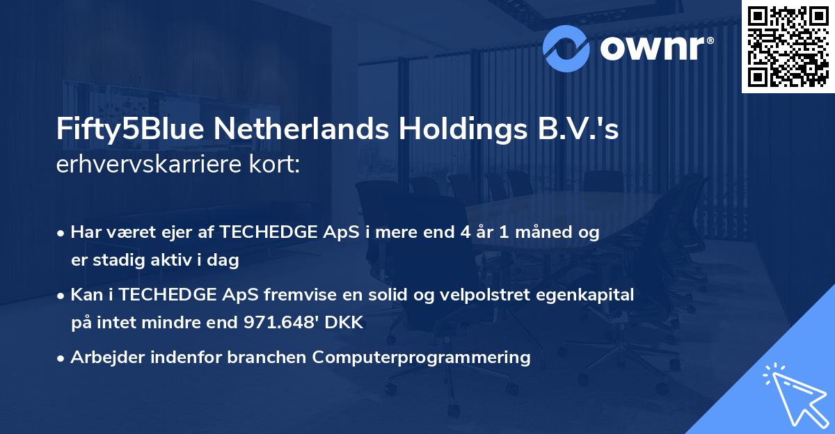 Fifty5Blue Netherlands Holdings B.V.'s erhvervskarriere kort