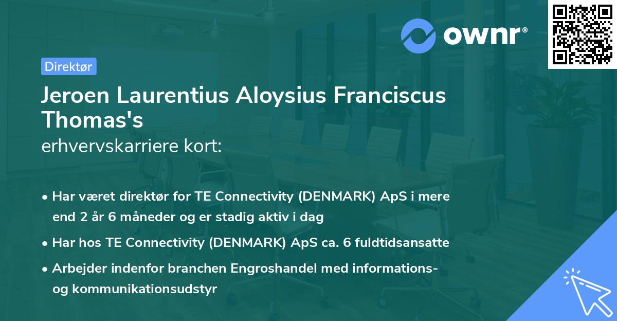 Jeroen Laurentius Aloysius Franciscus Thomas's erhvervskarriere kort