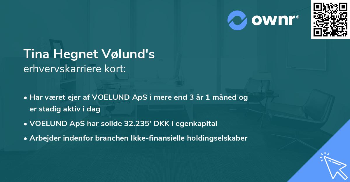 Tina Hegnet Vølund's erhvervskarriere kort