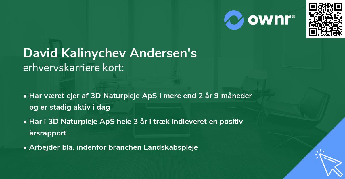 David Kalinychev Andersen's erhvervskarriere kort