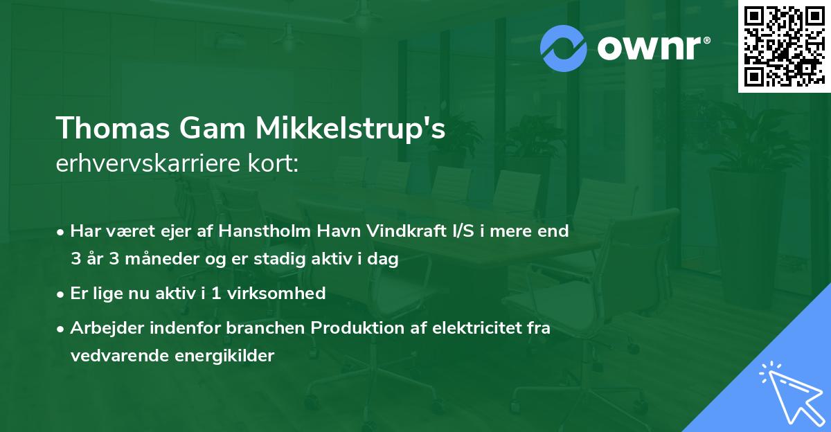 Thomas Gam Mikkelstrup's erhvervskarriere kort