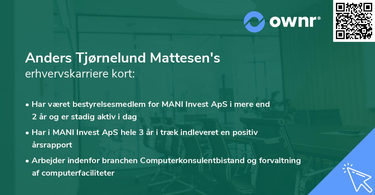 Anders Tjørnelund Mattesen's erhvervskarriere kort