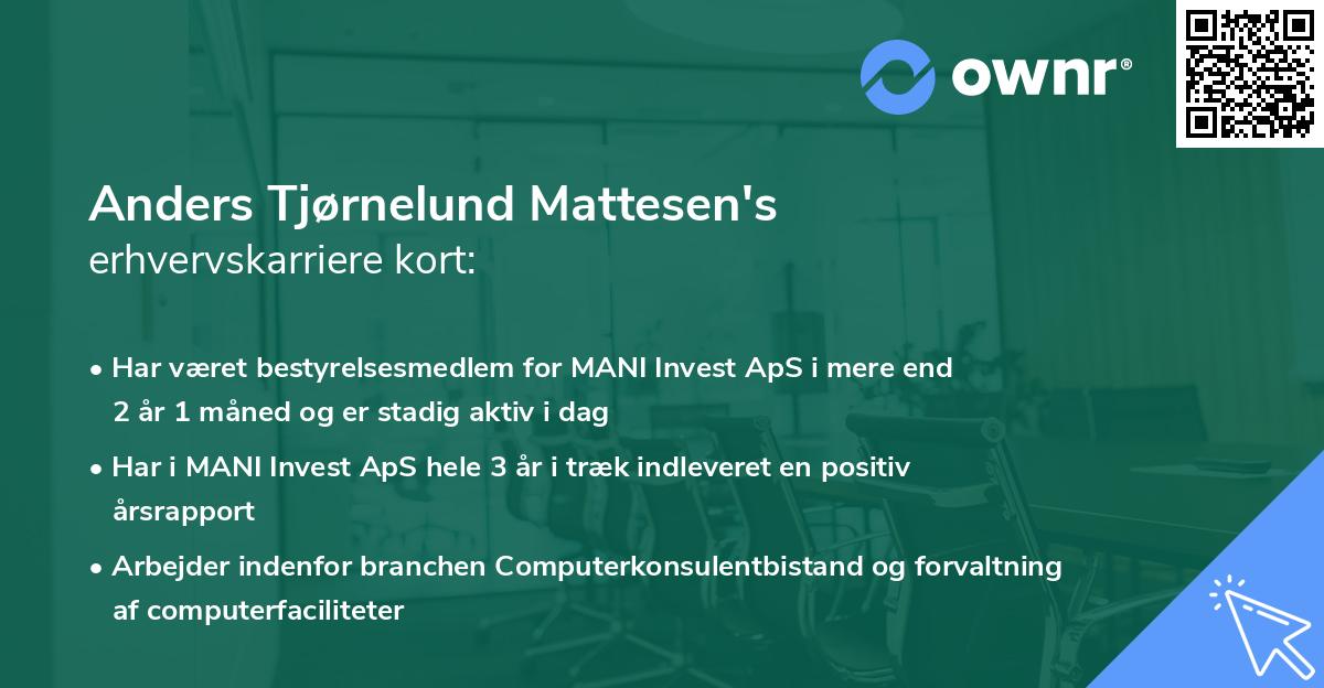Anders Tjørnelund Mattesen's erhvervskarriere kort