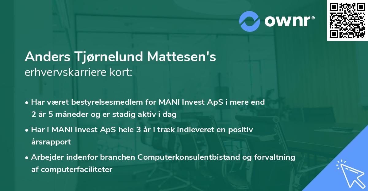 Anders Tjørnelund Mattesen's erhvervskarriere kort