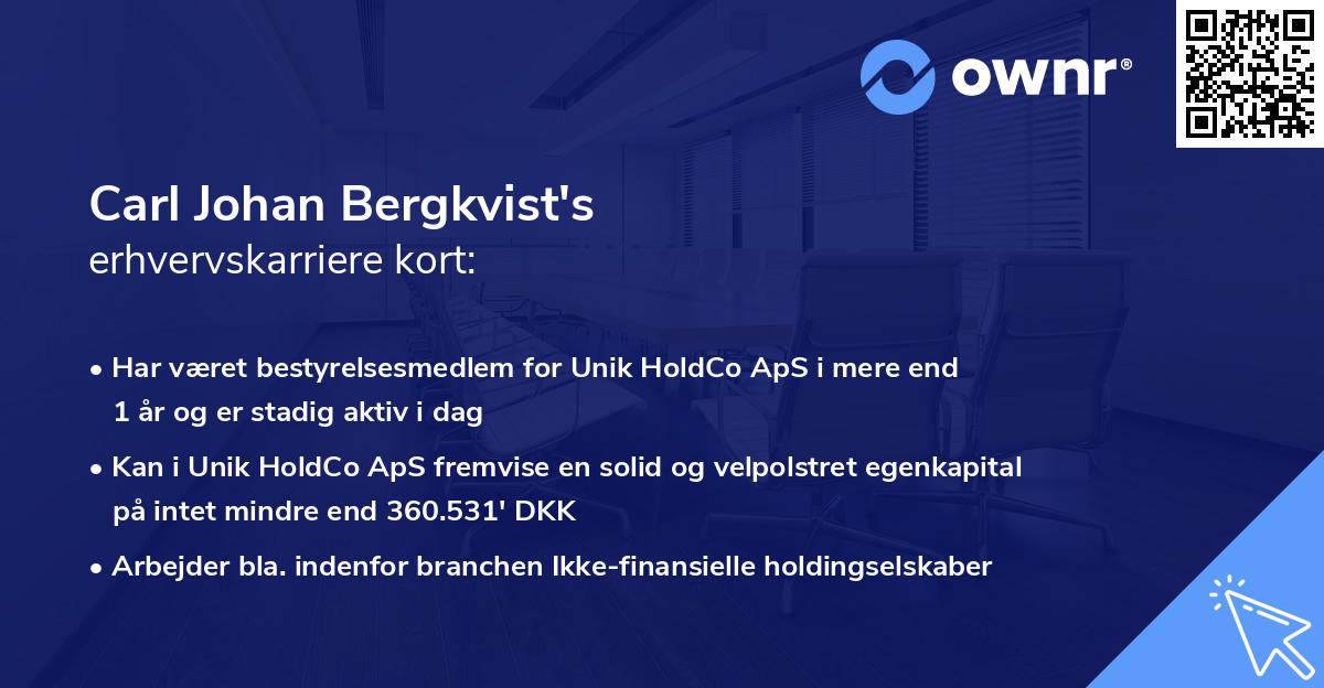 Carl Johan Bergkvist's erhvervskarriere kort