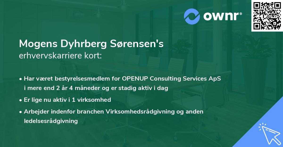Mogens Dyhrberg Sørensen's erhvervskarriere kort