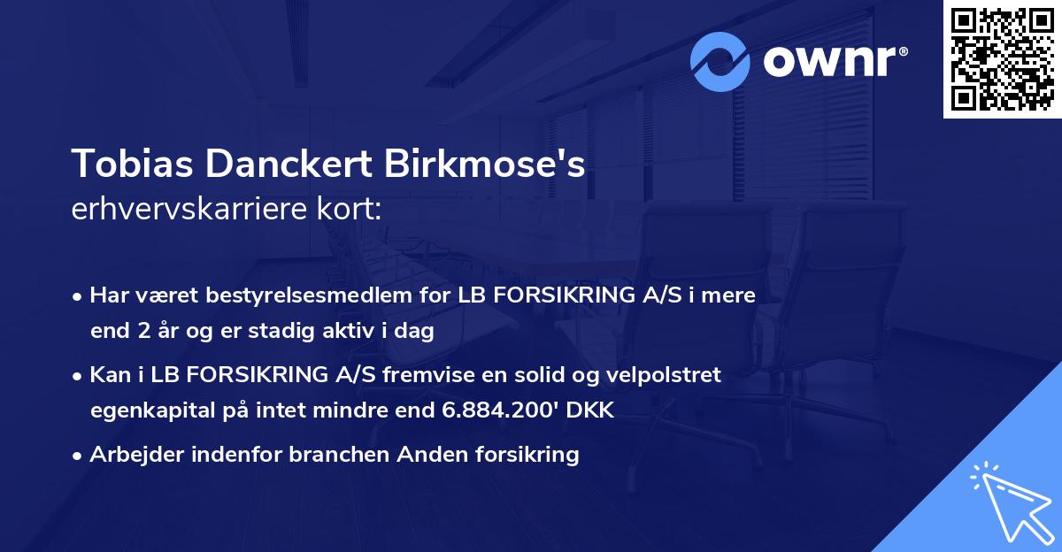 Tobias Danckert Birkmose's erhvervskarriere kort