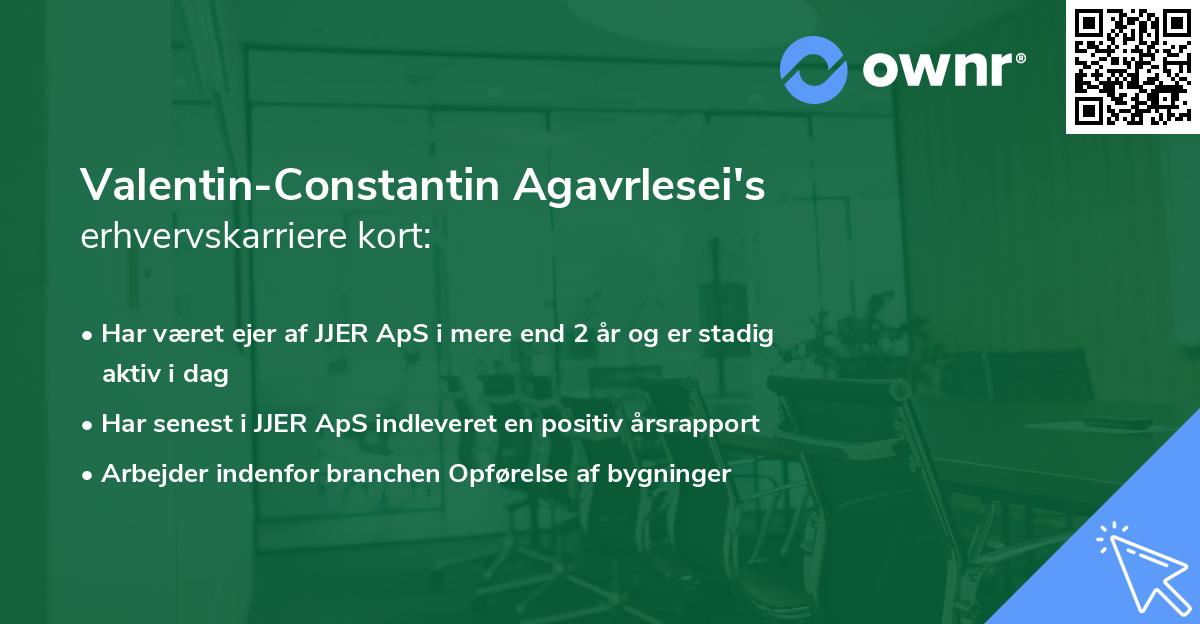 Valentin-Constantin Agavrlesei's erhvervskarriere kort