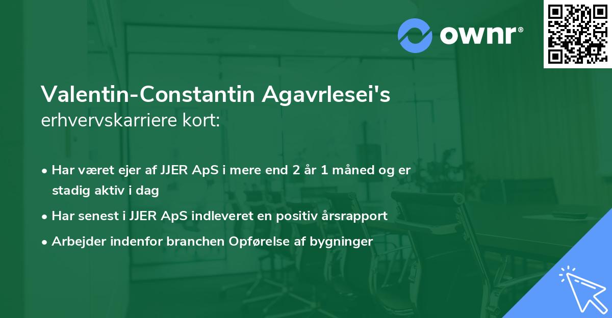 Valentin-Constantin Agavrlesei's erhvervskarriere kort