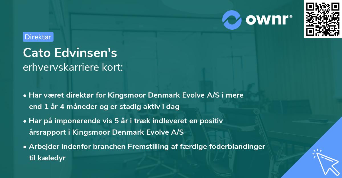 Cato Edvinsen's erhvervskarriere kort
