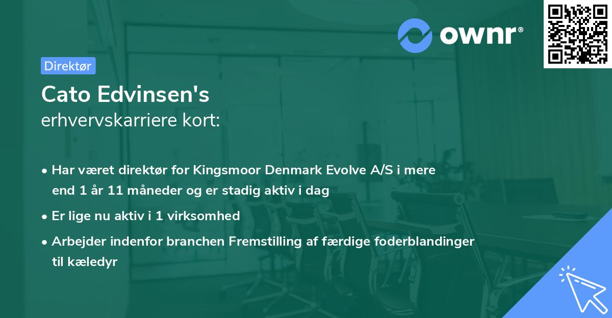 Cato Edvinsen's erhvervskarriere kort
