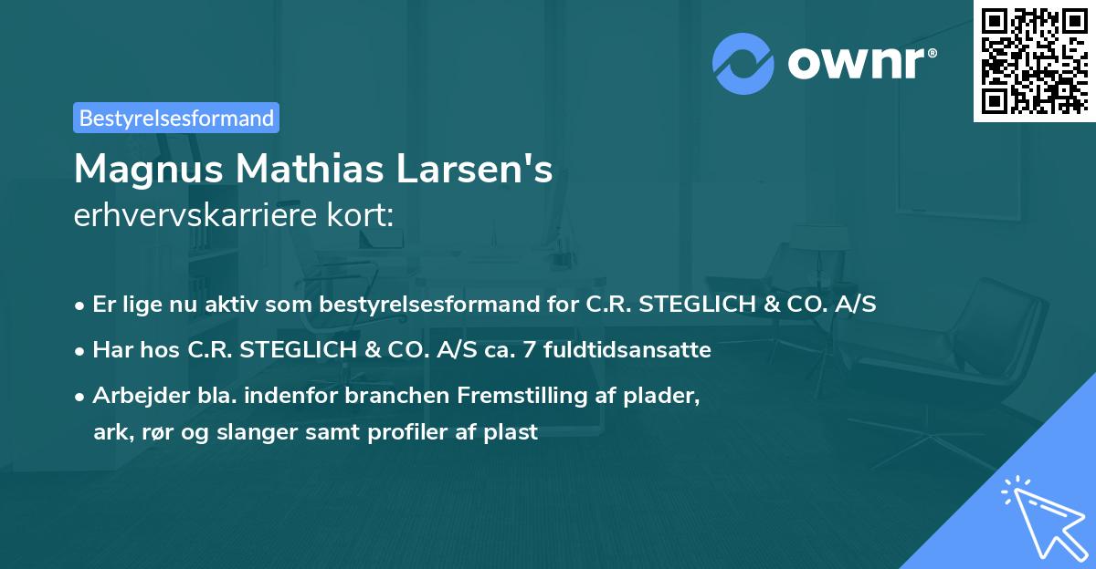 Magnus Mathias Larsen's erhvervskarriere kort