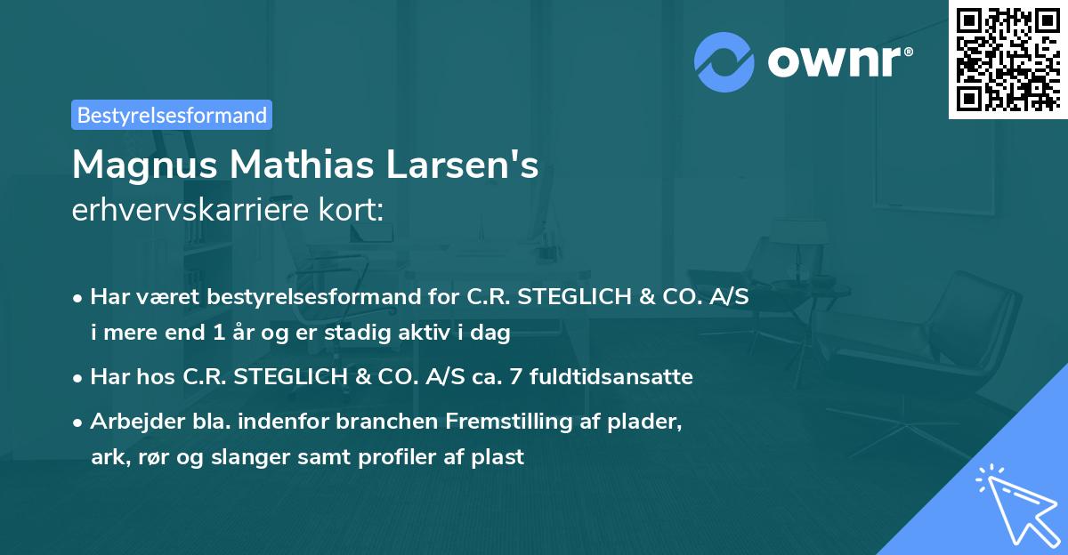 Magnus Mathias Larsen's erhvervskarriere kort