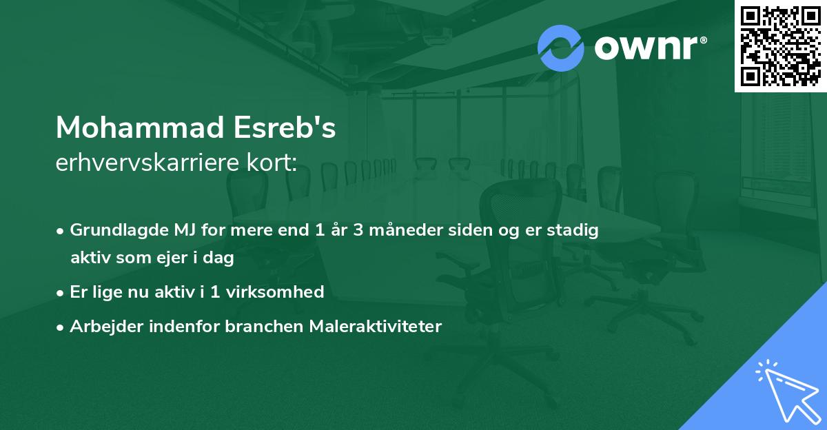 Mohammad Esreb's erhvervskarriere kort