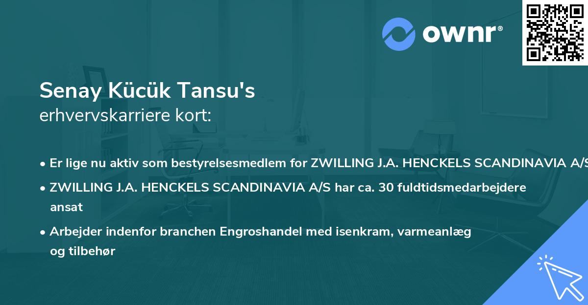 Senay Kücük Tansu's erhvervskarriere kort