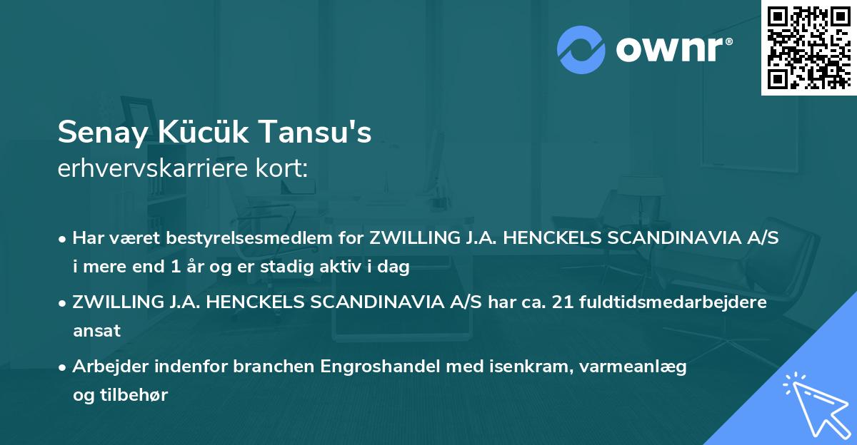 Senay Kücük Tansu's erhvervskarriere kort